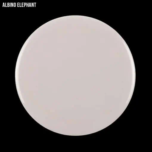 Albino-elephant