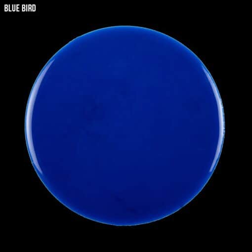 Blue bird