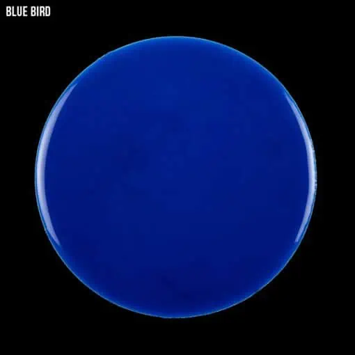Blue bird