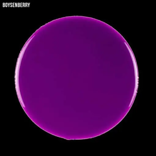 Boysenberry