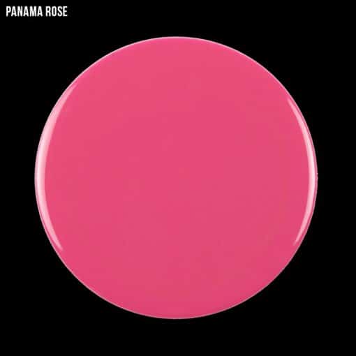 Panama rose