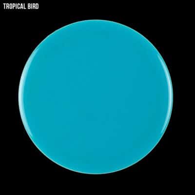tropical bird