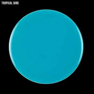 tropical bird