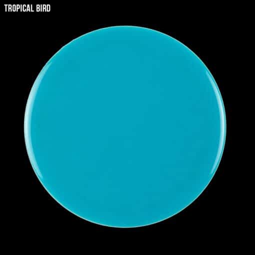 Tropical bird