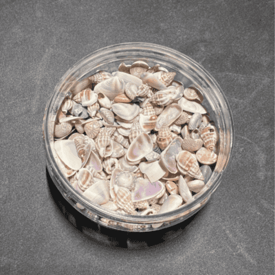 mini shells