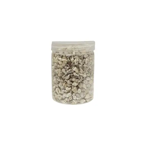 Mini shells - image 2