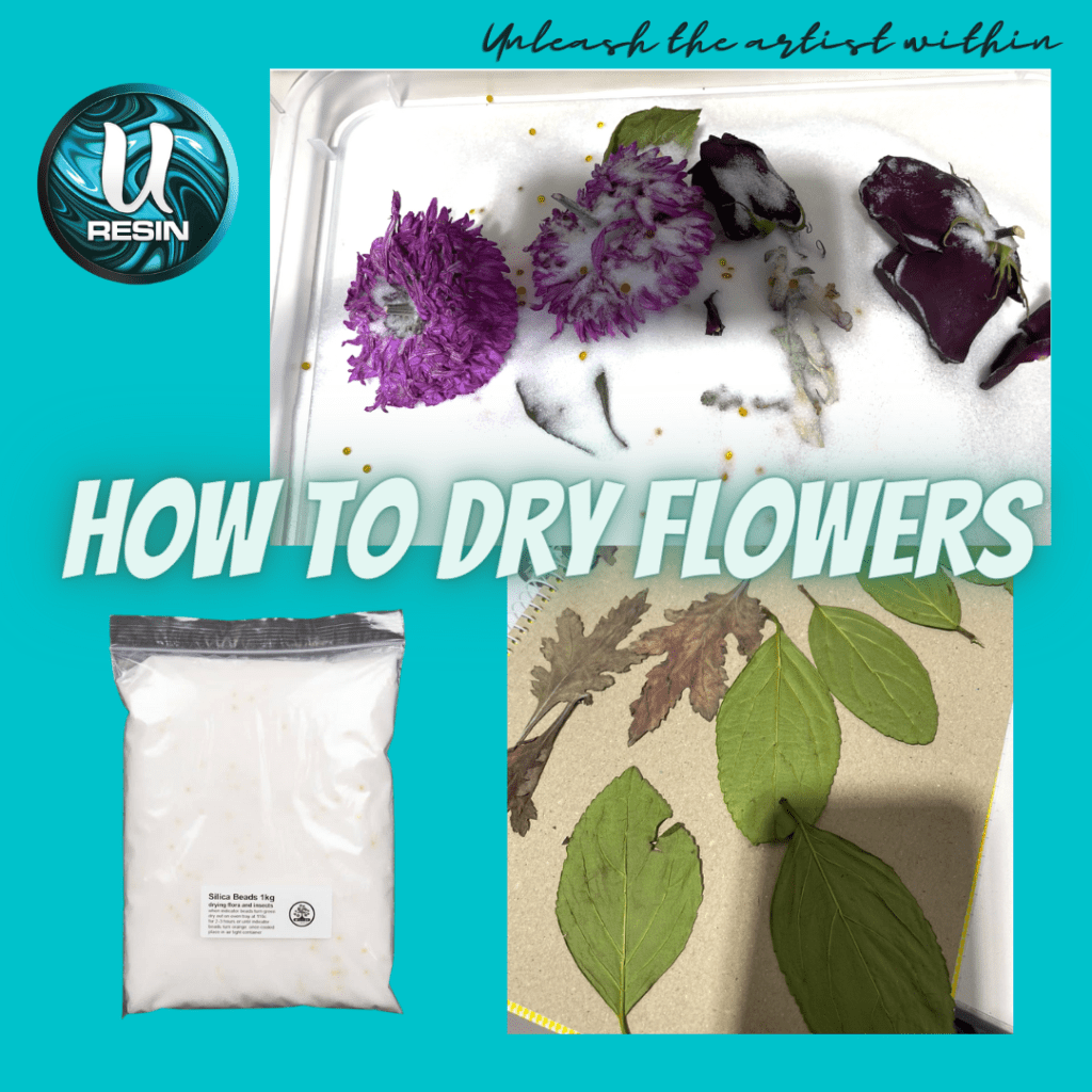 How To: Dry Flowers 22 | Uresin How to dry flowers | uresin | 0437 054 548