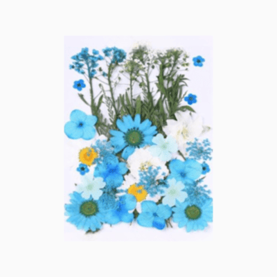 Pressed Blue Flowers