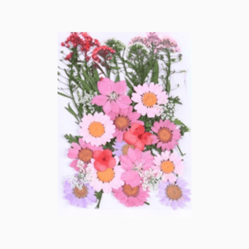 Pressed pink flowers