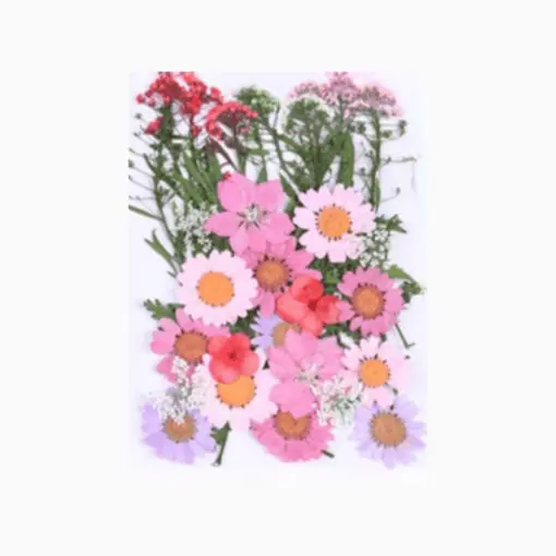 Pressed pink flowers