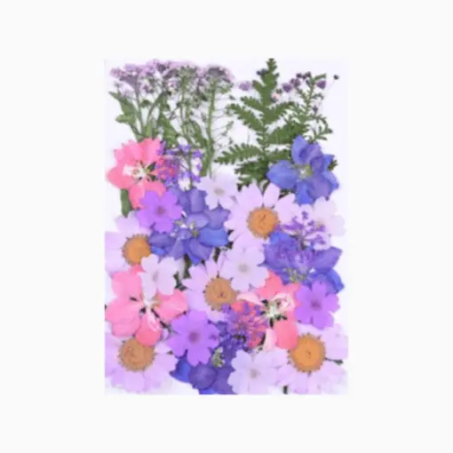 Pressed purple flowers