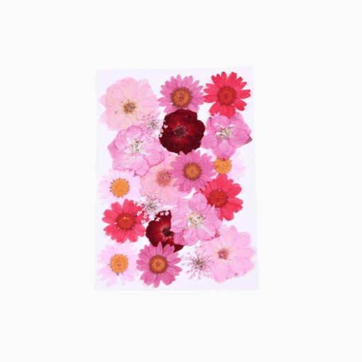 Pressed red flowers
