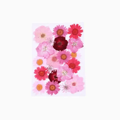 Pressed red flowers