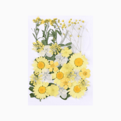 Pressed Yellow Flowers
