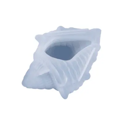 Large Conch Mould
