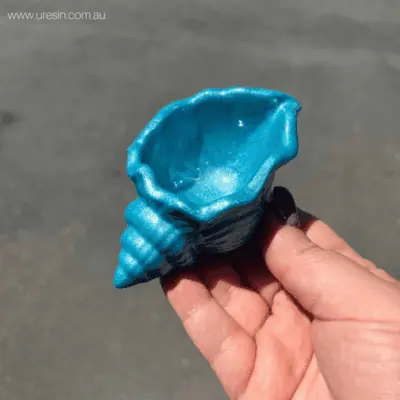 Small Conch Mould