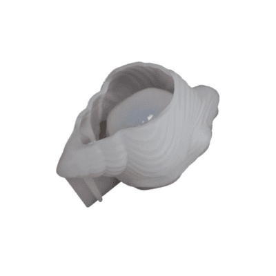 Small Conch Mould