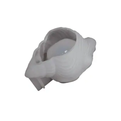 Small Conch Mould