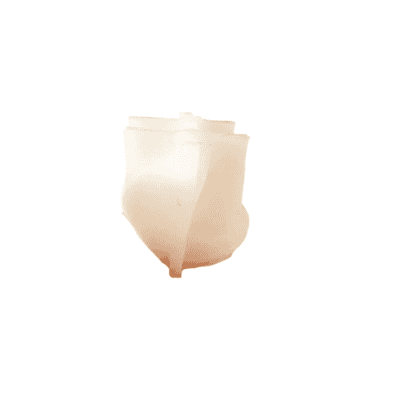 Clam Ring Holder Mould