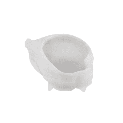 Periwinkle Shell Mould