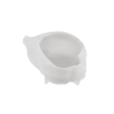 Periwinkle Shell Mould