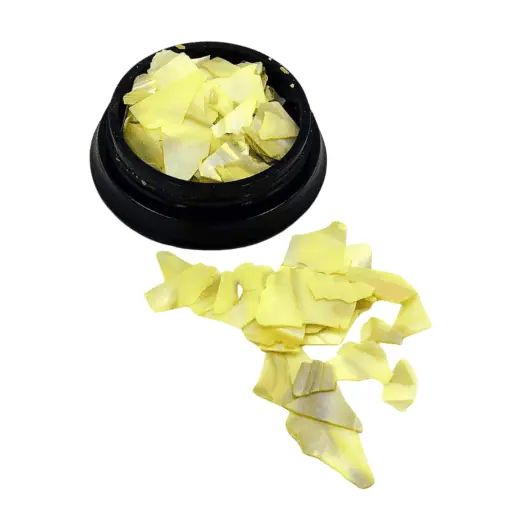 Bright yellow shell