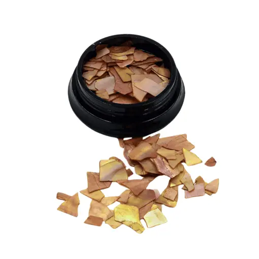 Brown shell