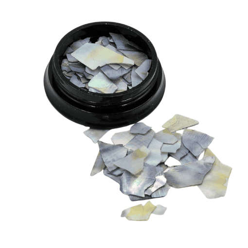 Grey shell