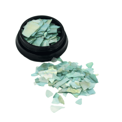 light green shell