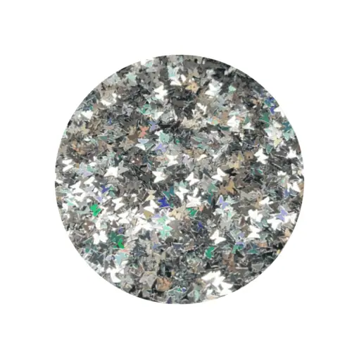 Silver butterfly