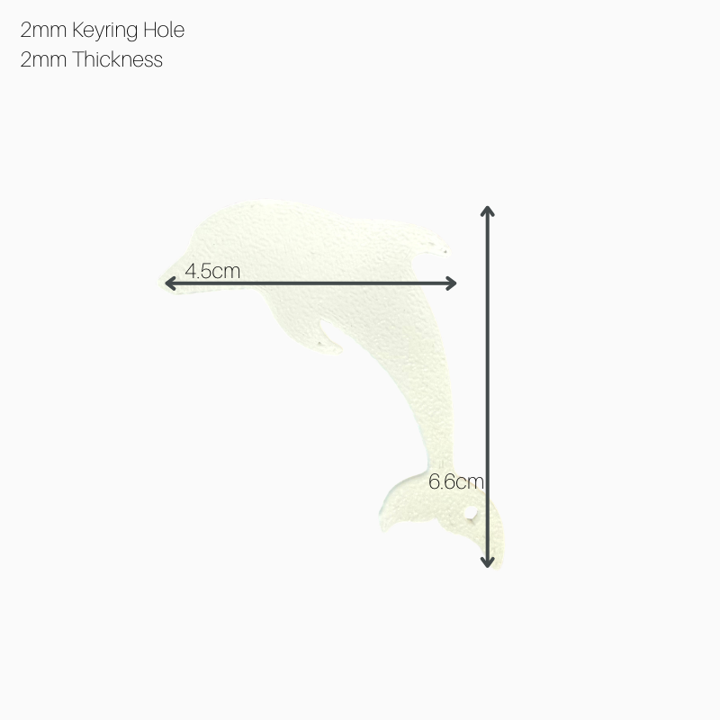 Dolphin Blank 2 | Uresin Dolphin blank - image 2